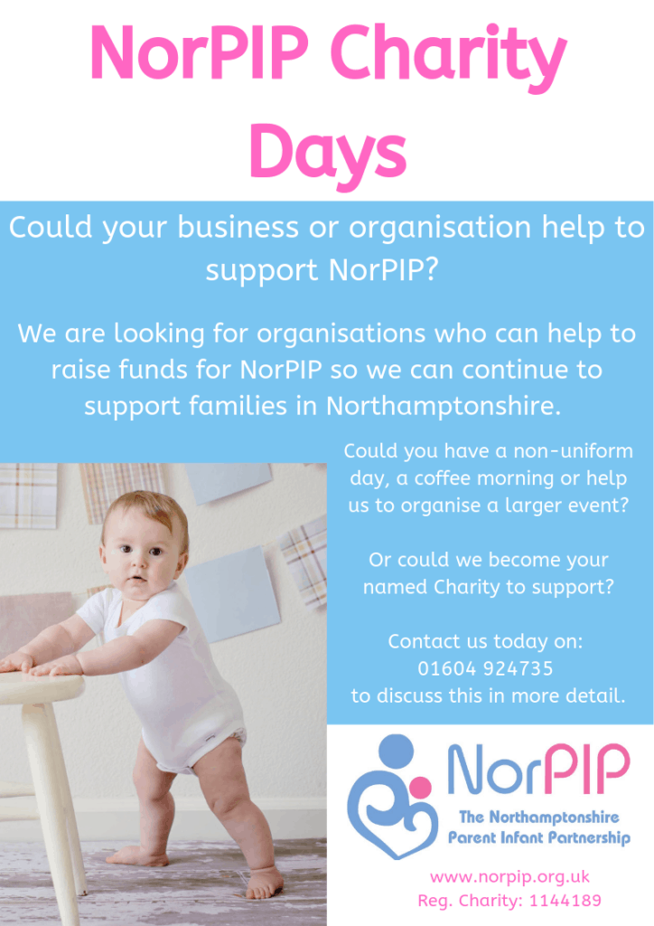 Fundraising Leaflet NorPIP